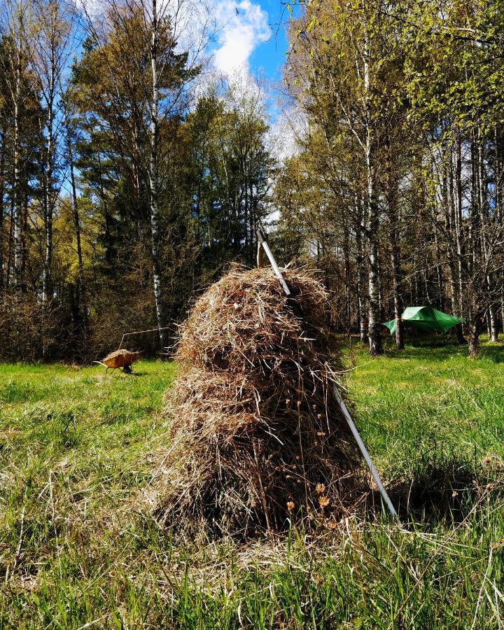 Naawa Nature Camp Korpo Eksteriør bilde